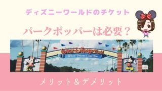 ｗｄｗ基本情報 フロリダのディズニーワールドは日本のディズニーとこんなに違う 旅行計画前にに知っておくべきことは ディズニー夢と魔法の旅