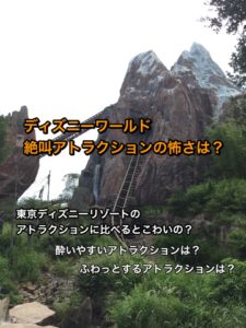 Wdwで東京ディズニーランドとシーにないアトラクションは おすすめや人気のショーや乗り物は ディズニー夢と魔法の旅