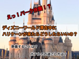 ディズニーワールドの服装や気温を１年分まとめて月ごとに紹介 ハリケーンやスコールは 寒い時期はある ディズニー夢と魔法の旅