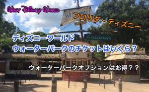 フロリダ ディズニーワールドのチケットの１日券の値段は 現地での購入もできる ディズニー夢と魔法の旅