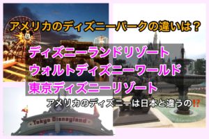 新婚旅行ならアメリカディズニーのおすすめはどっち カリフォルニアとフロリダの違いは ディズニー夢と魔法の旅