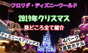 Wdwのハロウィンパーティー攻略ガイド 19年の基本知識から見どころやおすすめまで紹介 ディズニー夢と魔法の旅